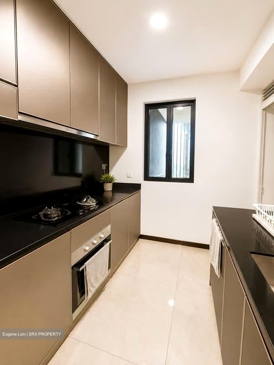 Normanton Park (D5), Apartment #581269601